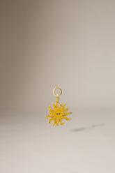 THE SUN
